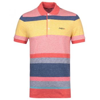 Multi Striped Polo Shirts
